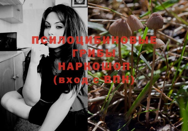 бошки Алзамай