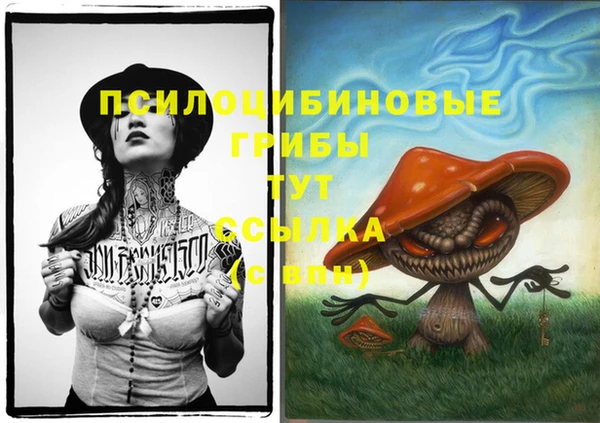 синтетический гашиш Алексеевка