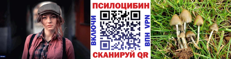Псилоцибиновые грибы мицелий купить наркоту Красногорск