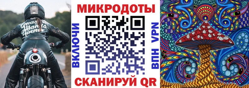 Псилоцибиновые грибы Psilocybine cubensis Красногорск