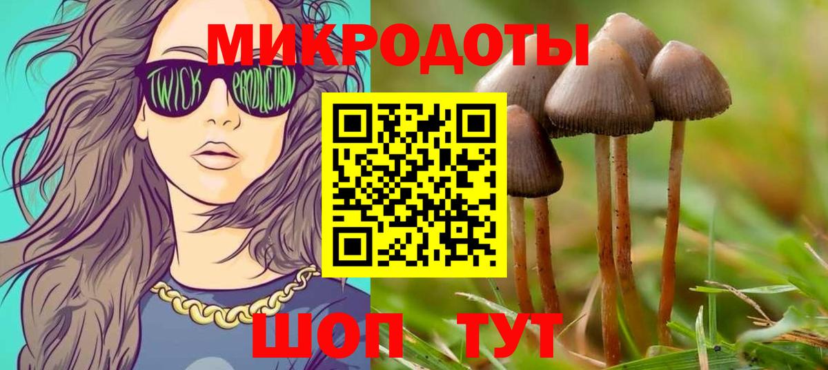 Галлюциногенные грибы Psilocybe Красногорск